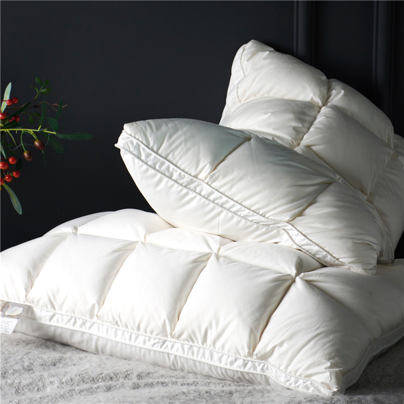 Home Textiles Premium - تشمل 2 قطعة 20x30 