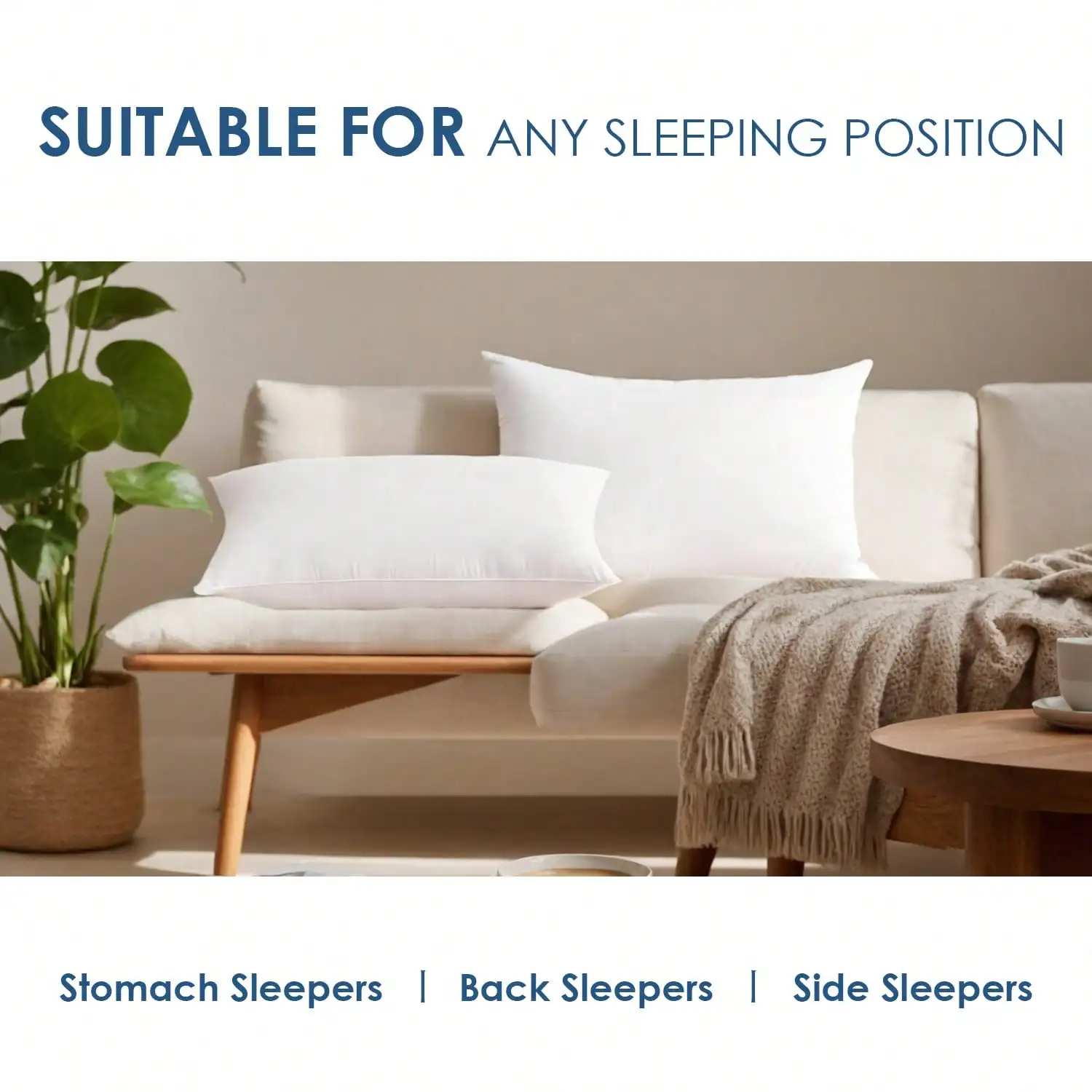 عبوتان وعبوة بأربع قطع من حشوا - مراجعة Pillow Insert 18X18 وسعره